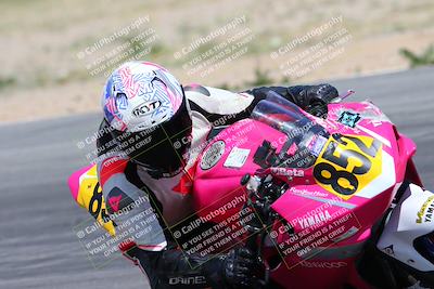 media/Apr-07-2024-CVMA (Sun) [[53b4d90ad0]]/Race 11 500 Supersport-350 Supersport/